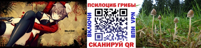 Галлюциногенные грибы Psilocybine cubensis купить сайты Дмитровск